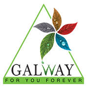 Logo 15
